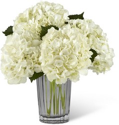 The FTD Ivory Hydrangea Bouquet by Vera Wang from Backstage Florist in Richardson, Texas